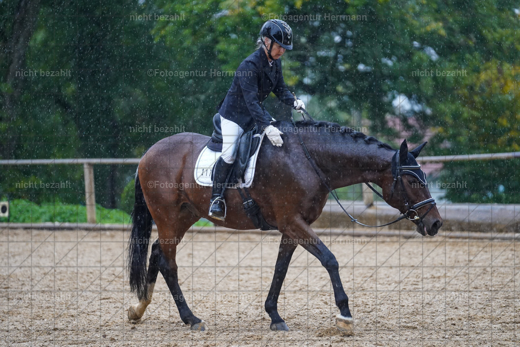 20221008-FAH02099 | Diessen am Ammersee, 2022, Dressur- und Springturnier, Reitsportbilder, Turnierfotografen Bayern, Pferdefotografen, Fotoagentur Herrmann, Turnierbilder