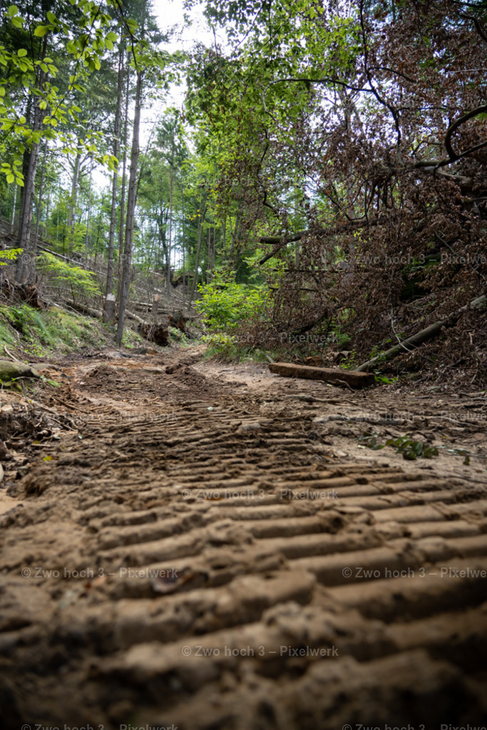 Rosssteig_Nahe_Altes_Zeughaus_Waldweg_Waldarbeit_Sand | 2022-08-30_Waldbrandgebiete_1 - Realisiert mit Pictrs.com