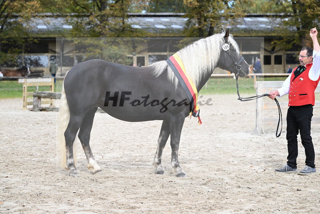 Kat-Nr. 104 Elischa Rosalie_Schmid-Fischer_53223528 | hf-fotografie - Realizzato con Pictrs.com