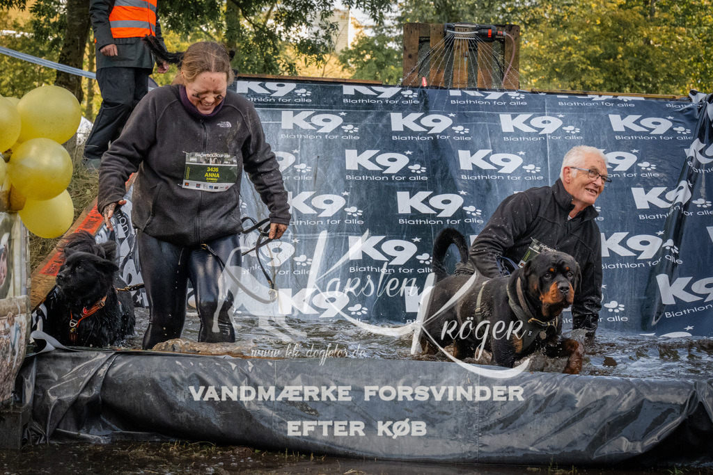1553_ZZ91115 | kk-dogfotos
