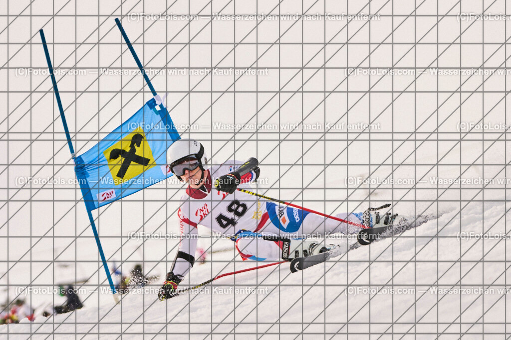 ALP8347_Herrn-FIS-GS-I_Lackenhof-WY_Fuhr Marvin | Internationaler FIS GiantSlalom der Herrn auf der Distelpiste in Lackenhof am Mo 10. März 2025.  Österreich, LSV-NÖ, Sportunion Waidhofen/Ybbs (2035).