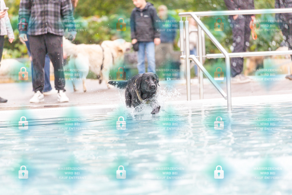 _HP_7357_1000o | HetPix, HetPix Fotodesign, Fotografie, Fotodesign, Webshop, Sportfotografie, Portraitfotografie, Onlineshop, Sportfotografie, Polch, Motorsportfotografie, Eventfotografie