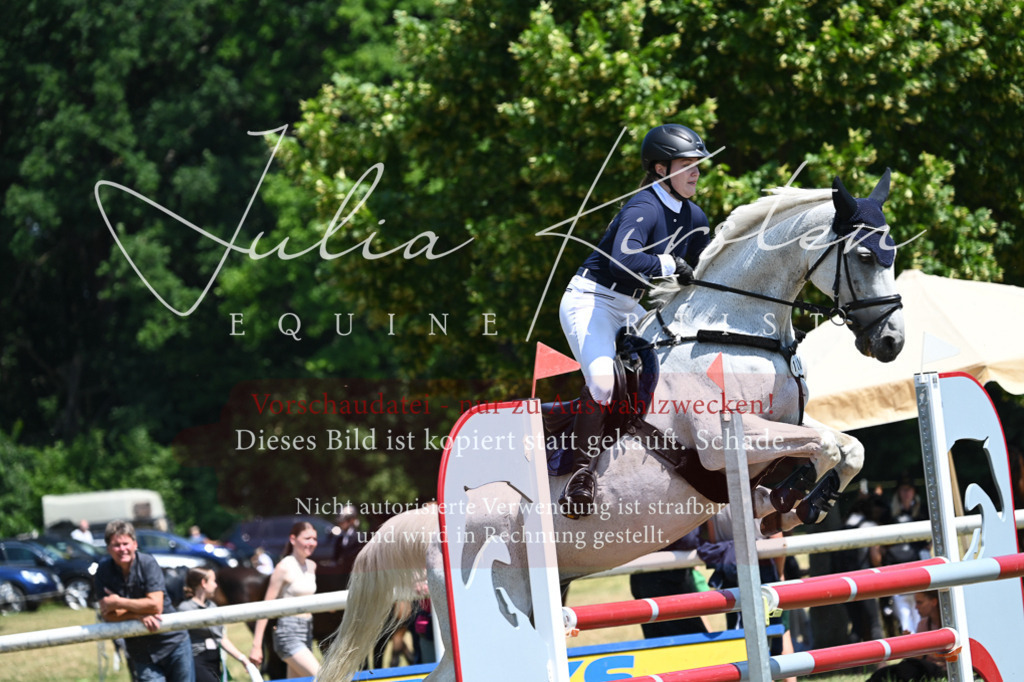 DSC_0568 | Pferde- und Turnierfotografie in Westsachsen. Pferdeportraits, Auftragszeichnungen und intuitive Kunst.