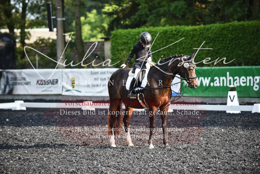 DSC_3509 | Pferde- und Turnierfotografie in Westsachsen. Pferdeportraits, Auftragszeichnungen und intuitive Kunst.