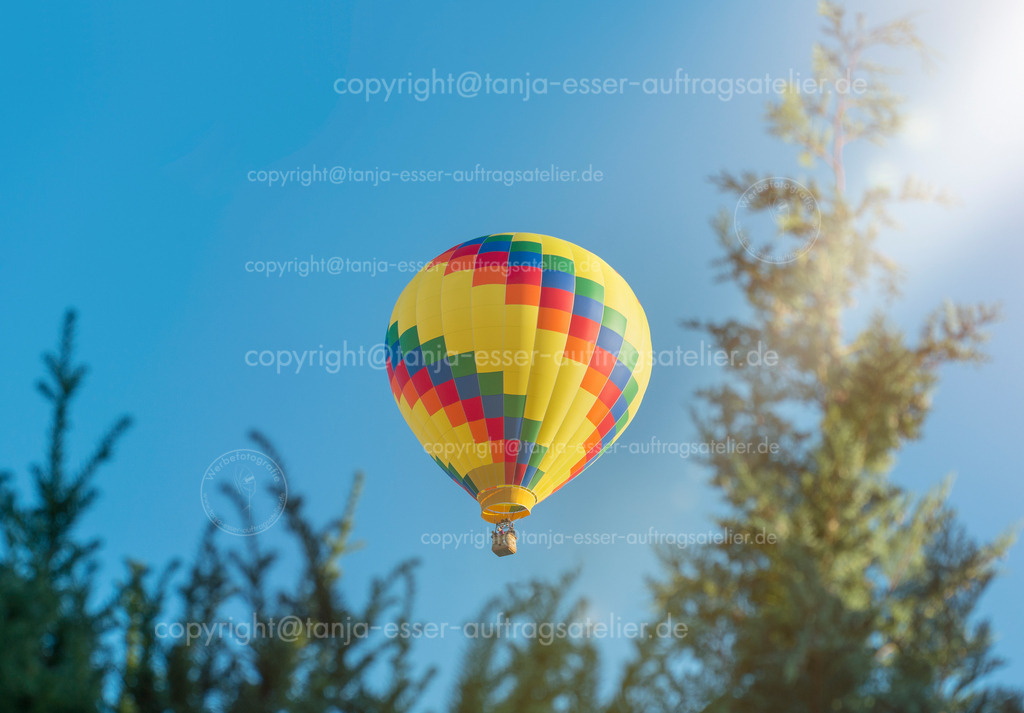 Über dem Wald ist ein bunter Heißluftballon am blauen Himmel zu sehen | Ein bunter Heißluftballon schwebt in den blauen Himmel. Im Vordergrund sind Zweige von Nadelbäumen zu sehen. Sonnenstrahl. Selektiver Fokus auf den Ballon.