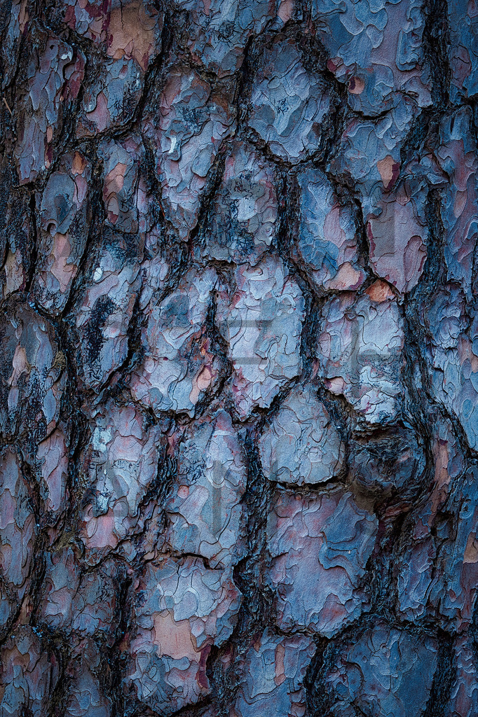 Ein Hans Fineart Original | Entdecke die Kunst von Hans Fineart - Fotografien für dein Zuhause. Verwandle deine Wände mit einzigartigen Kunstwerken und bringe die Schönheit der Welt in dein Leben. Bestelle jetzt und schaffe einen Ort der Inspiration und Eleganz.