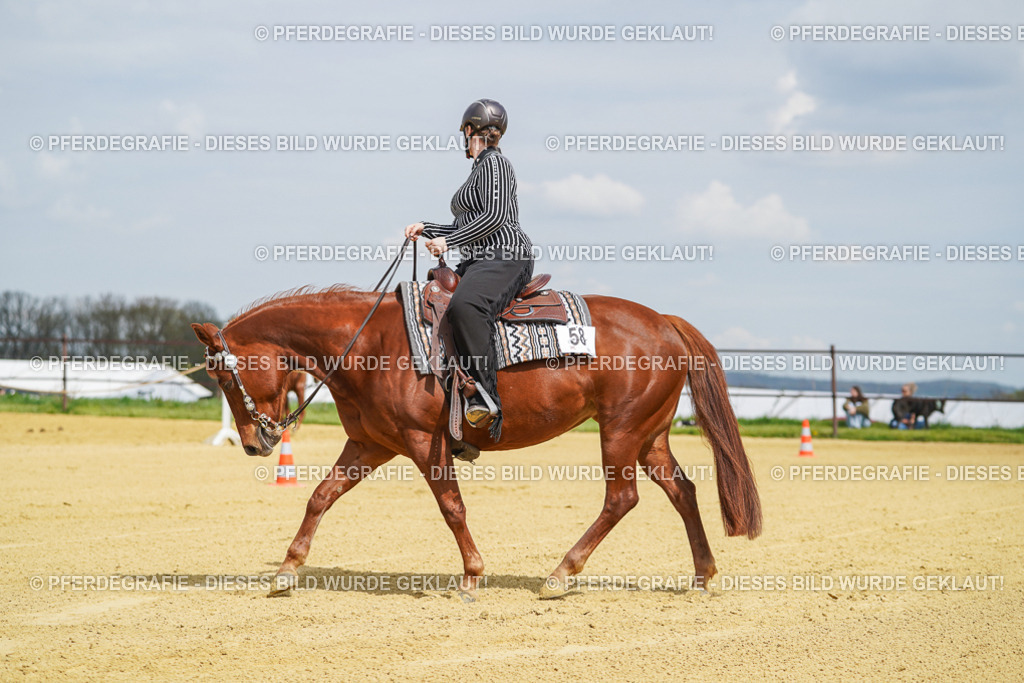 DSC05565 | Pferdegrafie