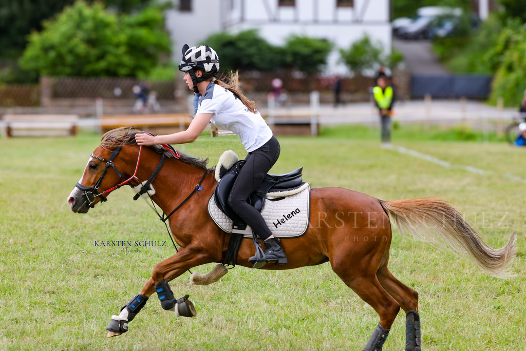1B3A1587 | Reitsport Reiten