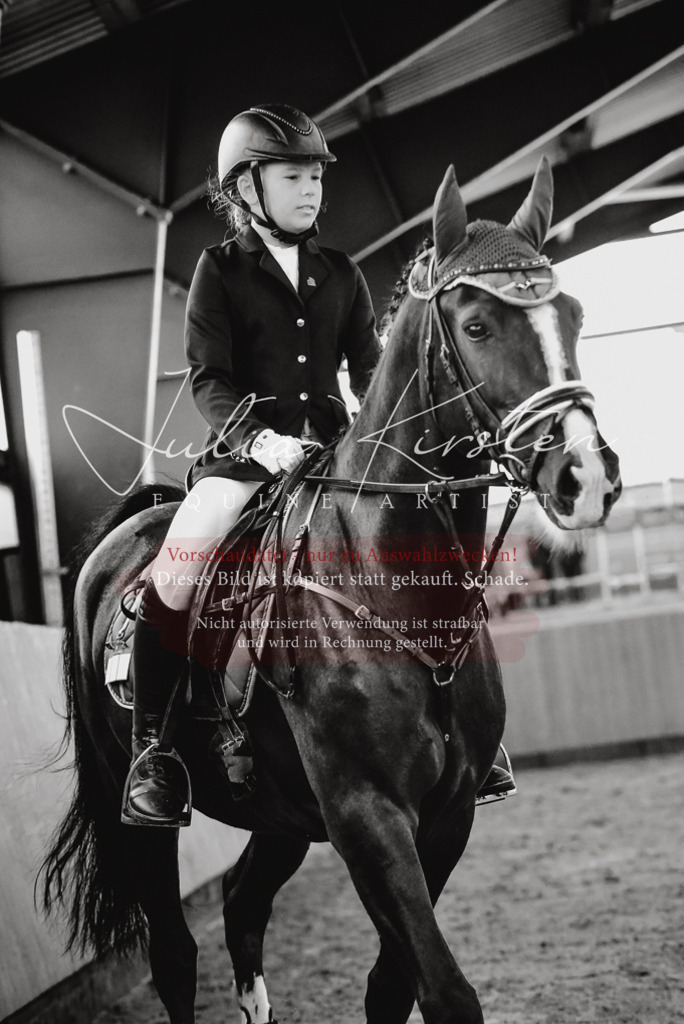 DSC_6804 | Pferde- und Turnierfotografie in Westsachsen. Pferdeportraits, Auftragszeichnungen und intuitive Kunst.