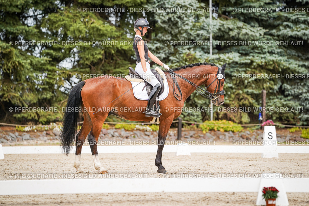 DSC06036 | Pferdegrafie