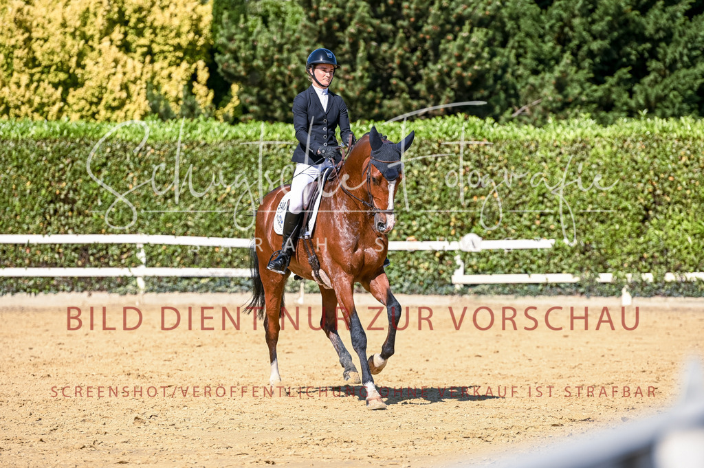 Schugtsche-Aluta25-50.Dressurpferdeprf.L-147 | Schugtsche Fotografie - Realisiert mit Pictrs.com