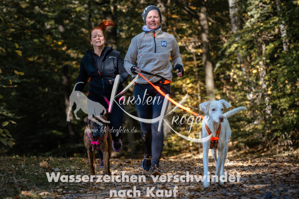1212_ZZ94507 | kk-dogfotos