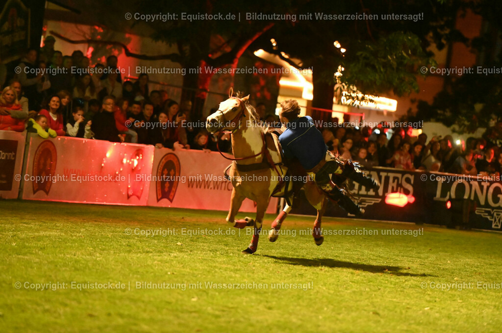 20230526_Pferdenacht_1196 | equistock