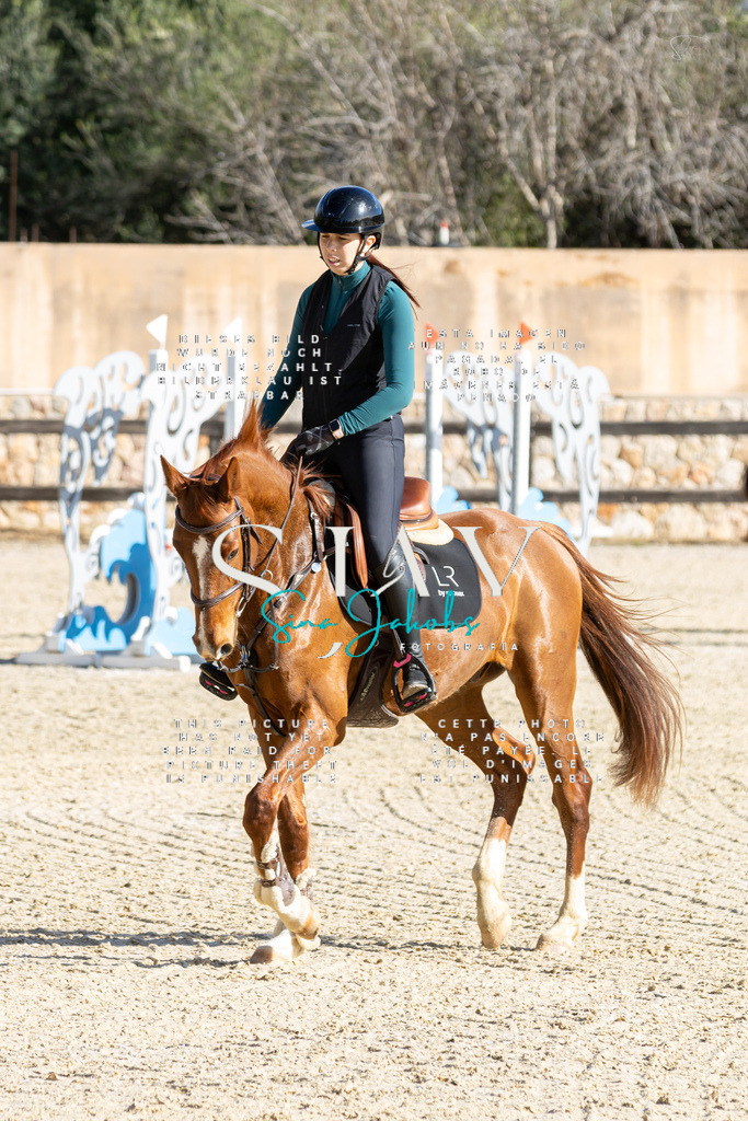 IMG_3595 | s-jay-photography - Realisiert mit Pictrs.com