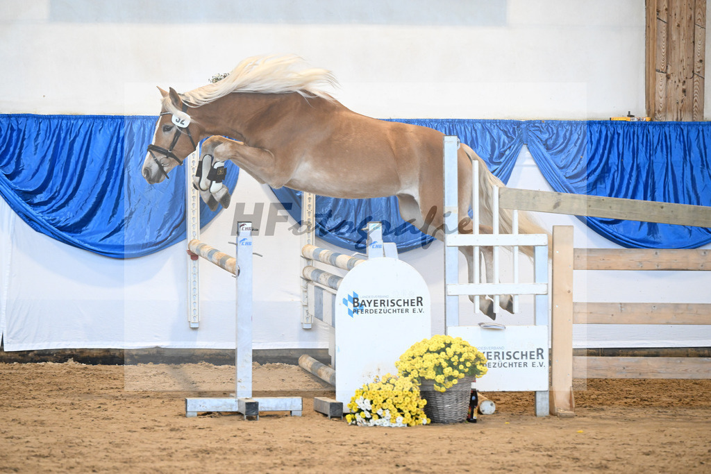 Kat-Nr. 32 Walkman Junior v. Walkman M_Schwarz_48250627 | hf-fotografie - Realisiert mit Pictrs.com