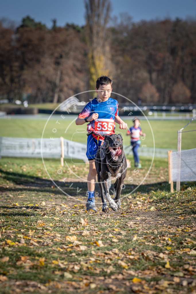 CaniXpix_DV3A8288 | Hundefotografie, Tierfotograf, Pfotenfotografie, Fotoshooting Hund, Hunde Portrait, Hundesport, Hundeportraits, Heideshooting, Hunde, Sportfotograf, Hundefotograf, Turnierhundsport, THS,  - Realisiert mit Pictrs.com