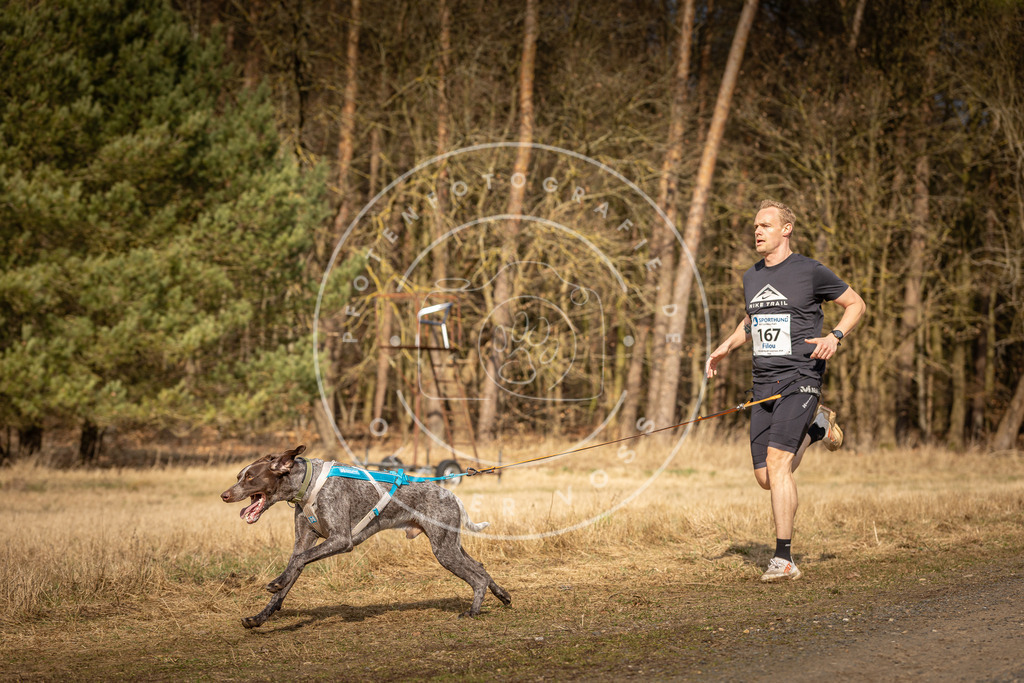 DV3A4914 | Hundefotografie, Tierfotograf, Pfotenfotografie, Fotoshooting Hund, Hunde Portrait, Hundesport, Hundeportraits, Heideshooting, Hunde, Sportfotograf, Hundefotograf, Turnierhundsport, THS,  - Realisiert mit Pictrs.com