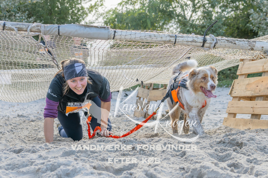 1248_ZZ93557 | kk-dogfotos