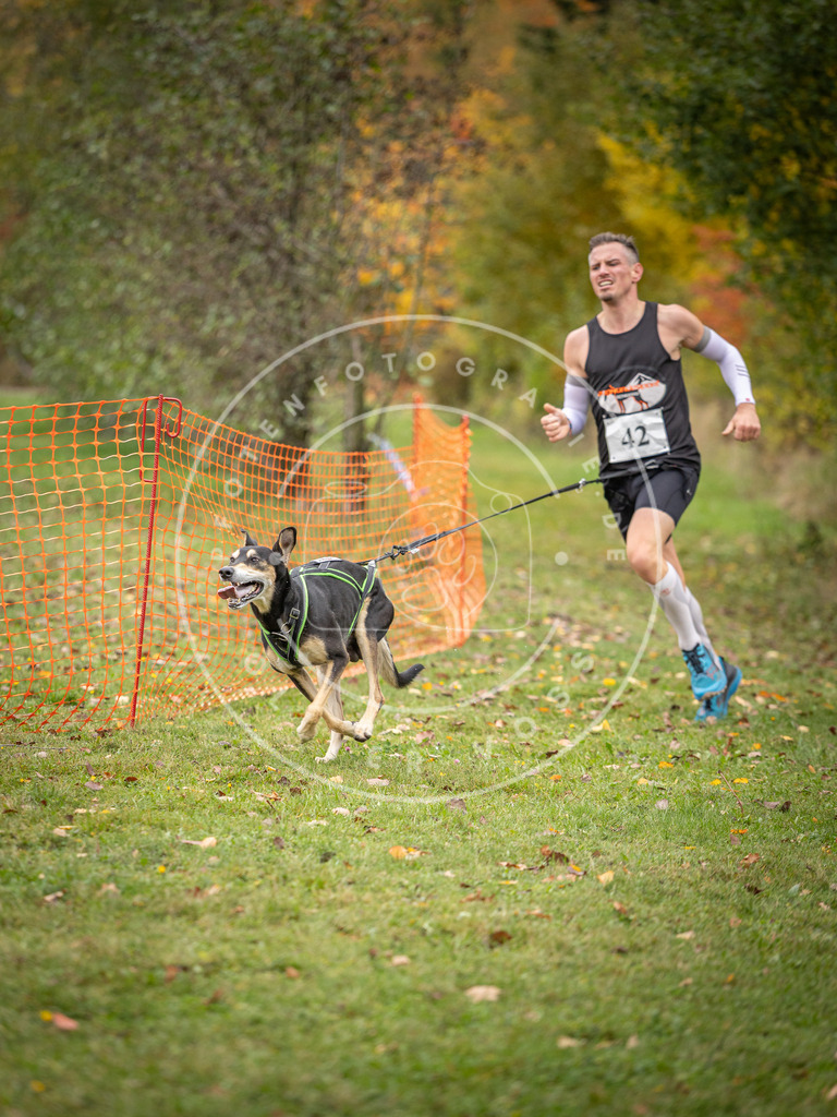 Pfotenfotografie_DV3A2325 | Hundefotografie, Tierfotograf, Pfotenfotografie, Fotoshooting Hund, Hunde Portrait, Hundesport, Hundeportraits, Heideshooting, Hunde, Sportfotograf, Hundefotograf, Turnierhundsport, THS,  - Realisiert mit Pictrs.com