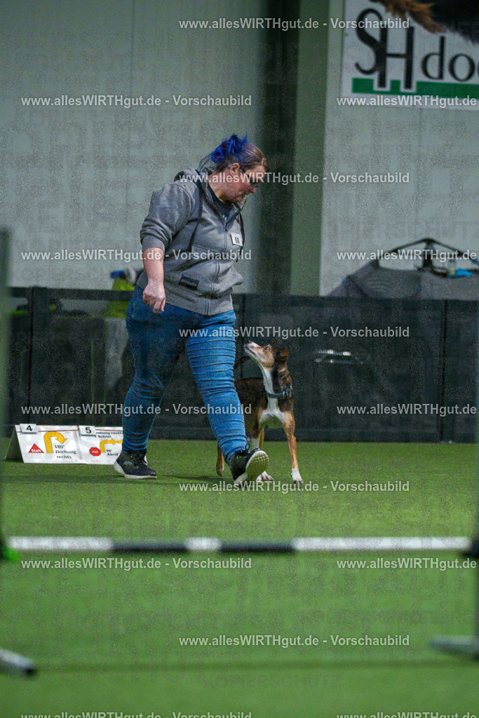 7R503789 | Professionelle Tierfotografie in Mönchengladbach von Daniel Wirth (allesWIRTHgut). Liebevolle & natürliche Bilder von Hunden & Katzen für unvergessliche Erinnerungen.