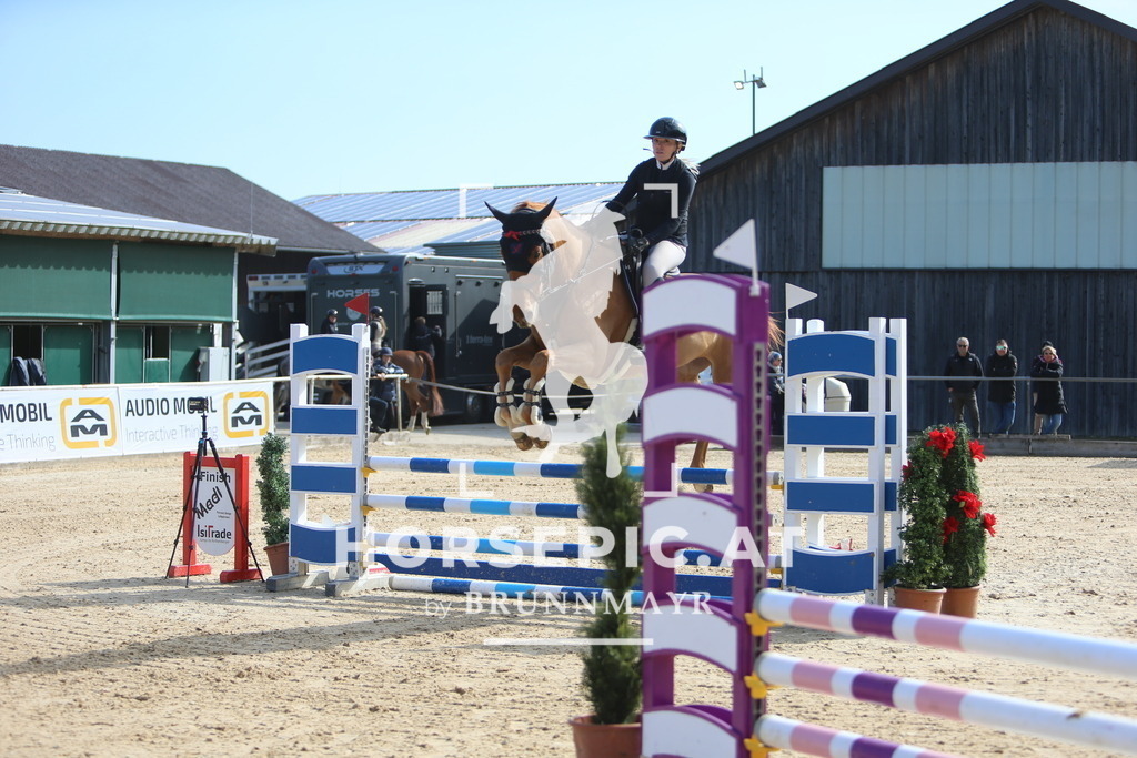 DL2Q8174 | Willkommen bei Brunnmayr - Design & Fotografie – Ihrem Spezialisten für Reitturniere und Pferdeveranstaltungen in Oberösterreich, Salzburg und Bayern! Seit über 17 Jahren sind wir leidenschaftlich dabei.