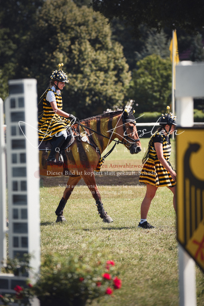 DSC_0276 | Pferde- und Turnierfotografie in Westsachsen. Pferdeportraits, Auftragszeichnungen und intuitive Kunst.