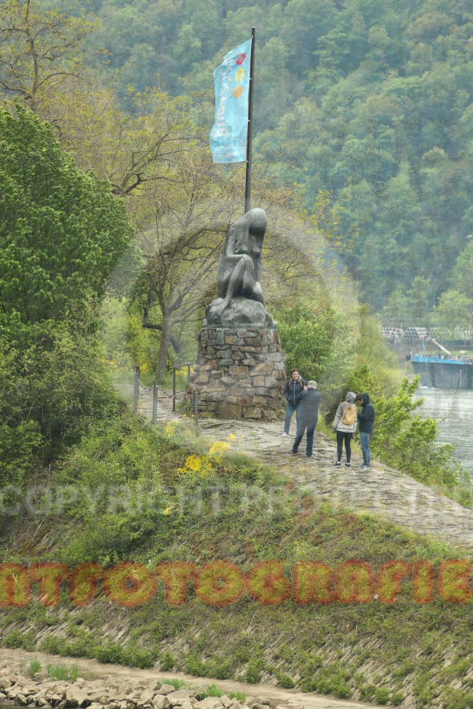 220430_1414_EX2_7533 | Sport- und Eventfotografie