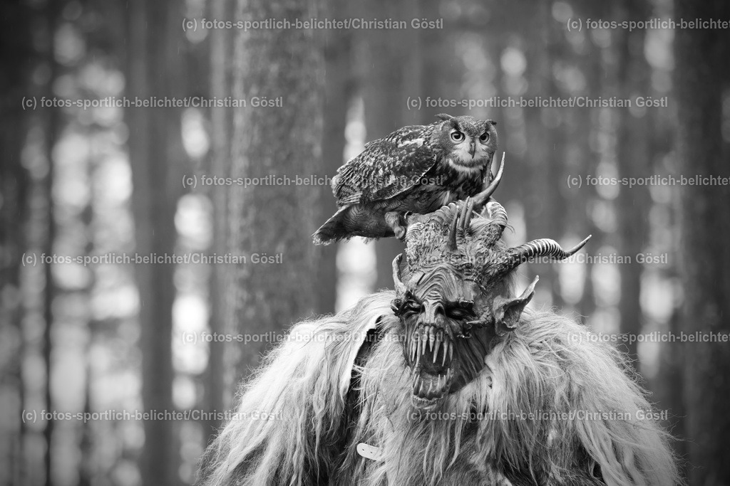 2X5A4210 | fotos-sportlich-belichtet - Realisiert mit Pictrs.com