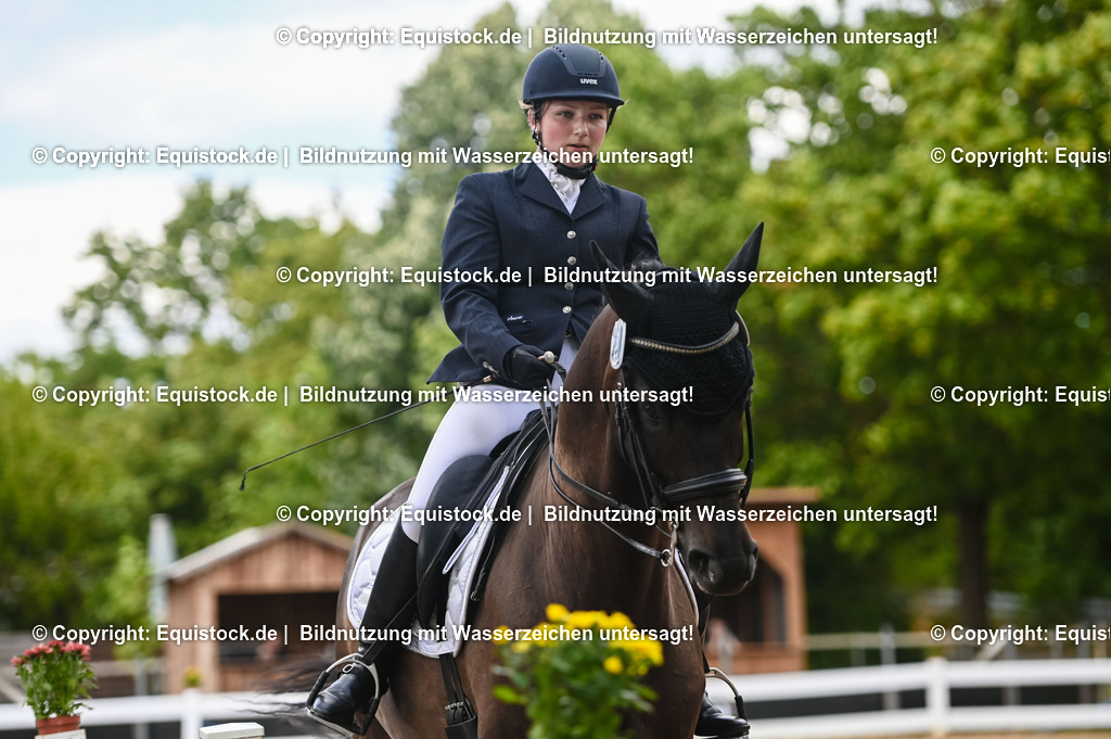 20230716_01_Dressurprüfung Kl.M_0413 | equistock