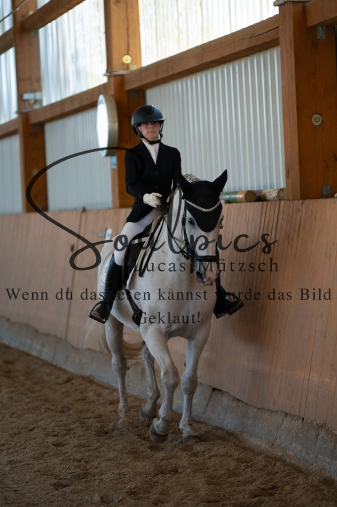 A7V01658 | Pferdefotograf