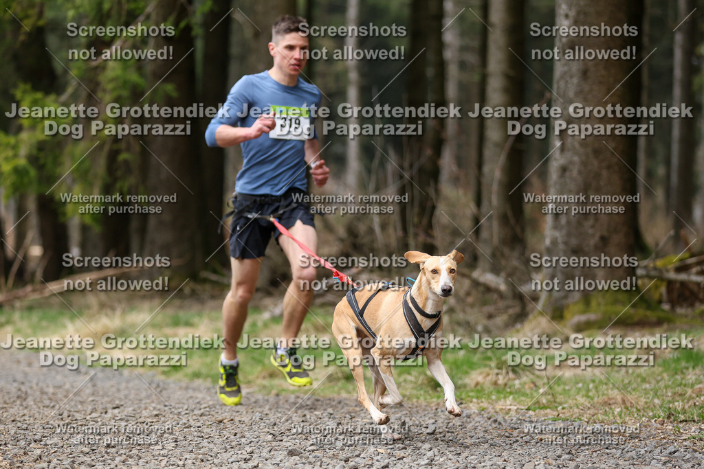 Dog Paparazzi - VCC26-439 | Dog Paparazzi Jeanette Grottendiek Fotografie & Videografie - Realisiert mit Pictrs.com