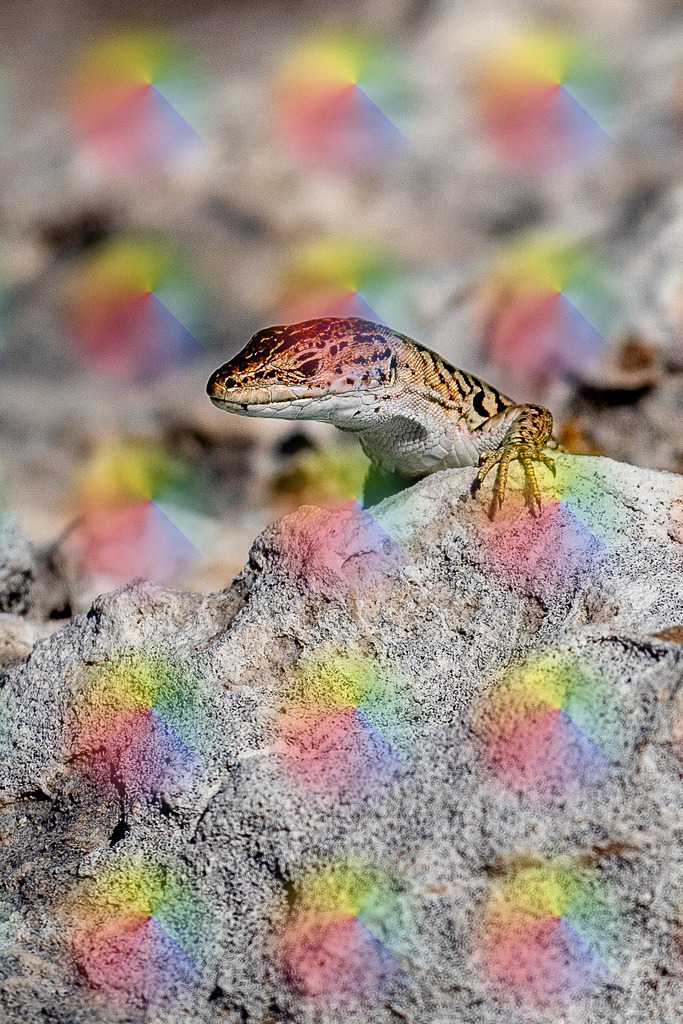 20230704-7J9A1397-2 | FineArtPrint, Hahnemühle, FeeGalerie, Fee Galerie, Fotokunst, Fotografie, Canonphotography, Bergfoto, Matterhorn, Rimpfischhorn, Allalinhorn, Saas-Fee, Wallis, Valais, Switzerland, Bergfotografie