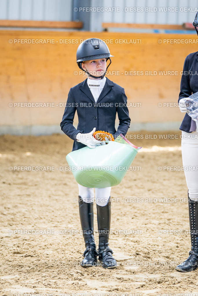 DSC05095 | Pferdegrafie