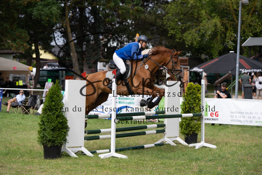 A7V05336 | Pferdefotograf