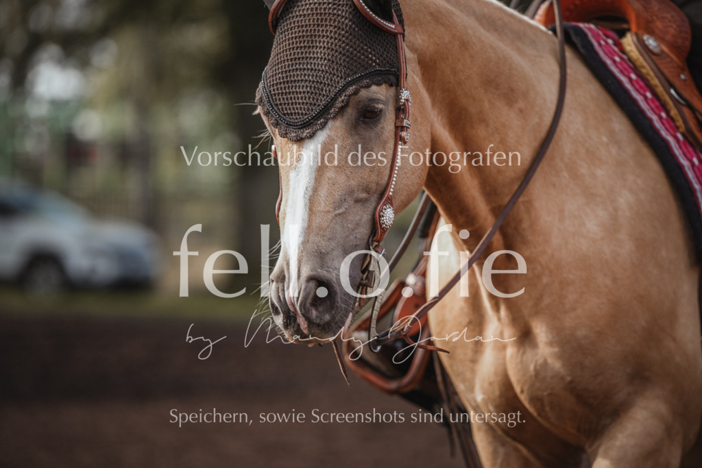 fell.o.fie_mandyjordan_2024_06_00756 | Mandy Klecke Fellfotografie, fell.o.fie Fotografenshop - Realisiert mit Pictrs.com