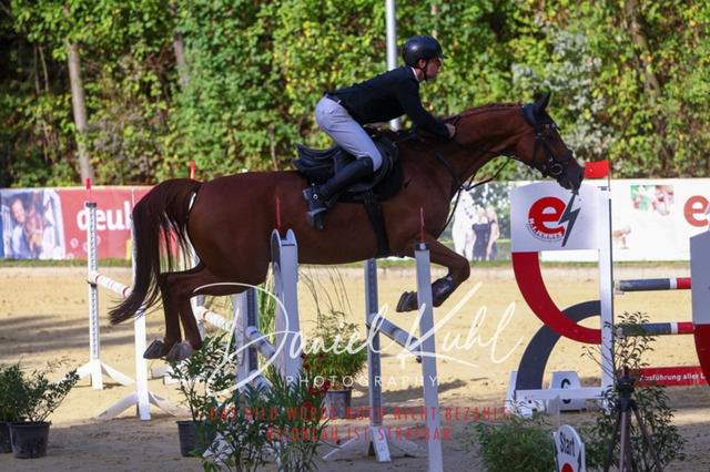 DKP42459 | Turniersportfotografie; Pferdefotografie; Dressurfotografie