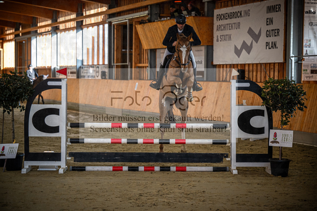 DOS_0165 | Entdecke hochwertige Reitturnierfotos von Foto Oger. Professionell, emotional und authentisch – jetzt Lieblingsmomente im Shop bestellen.Deutschlandweite Turnierfotografie. - Realisiert mit Pictrs.com