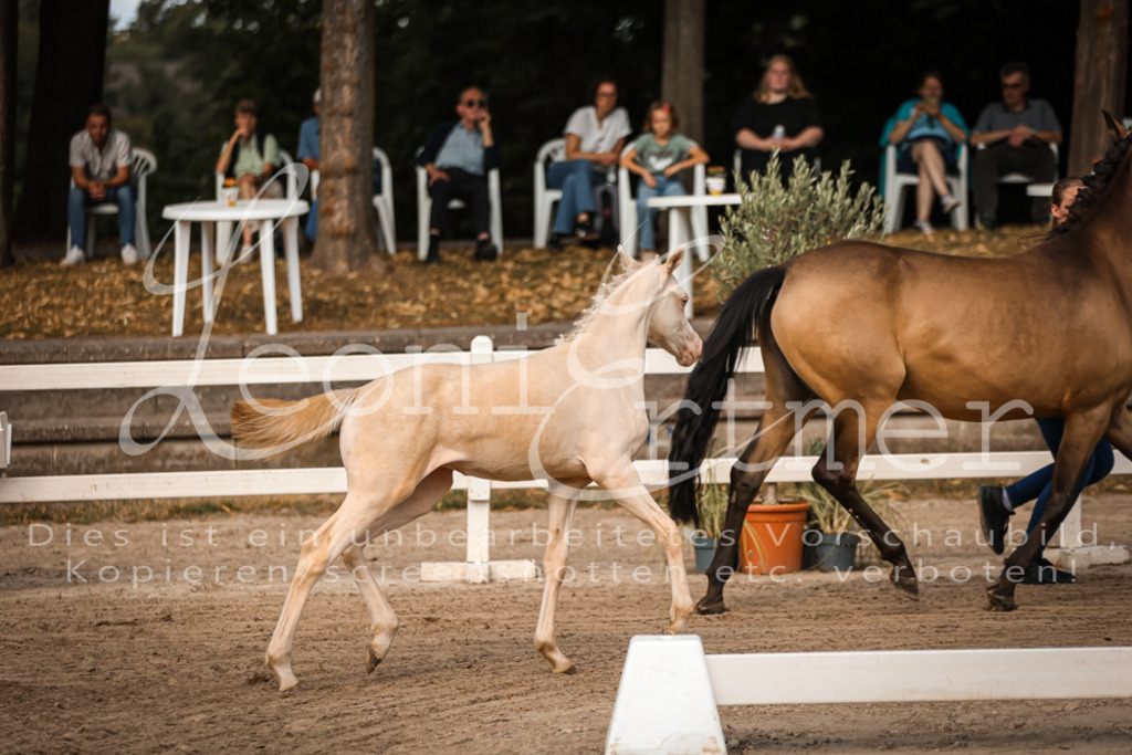 10.DoRP00040 | Leoni Ertmer Photography - Realisiert mit Pictrs.com