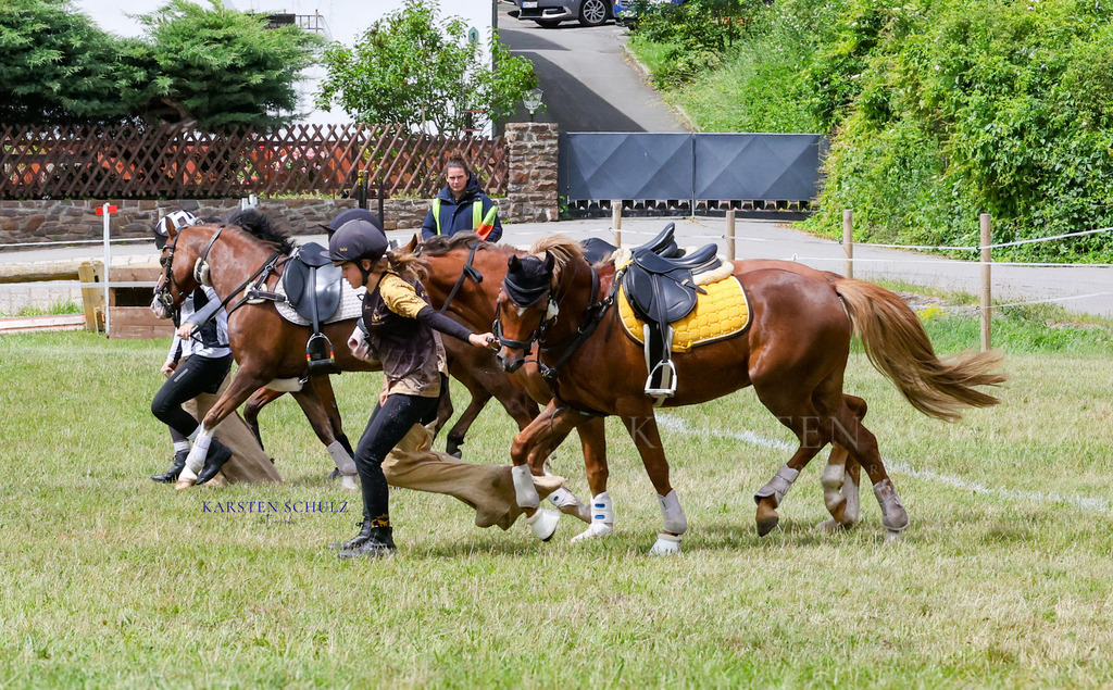 1B3A1694 | Reitsport Reiten