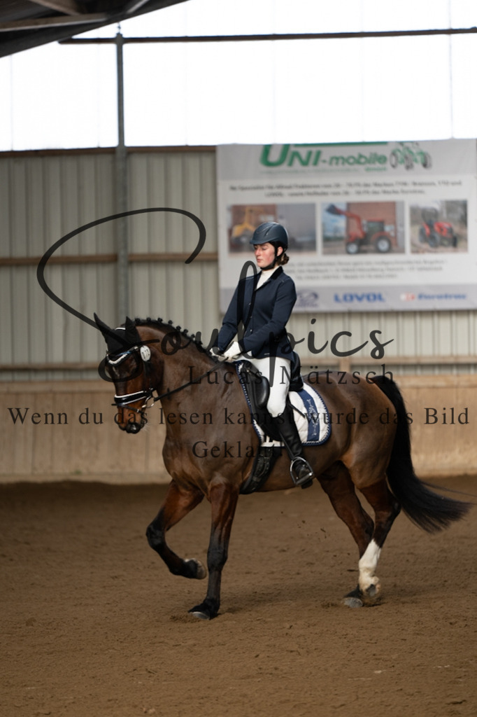 A7V05280 | Pferdefotograf