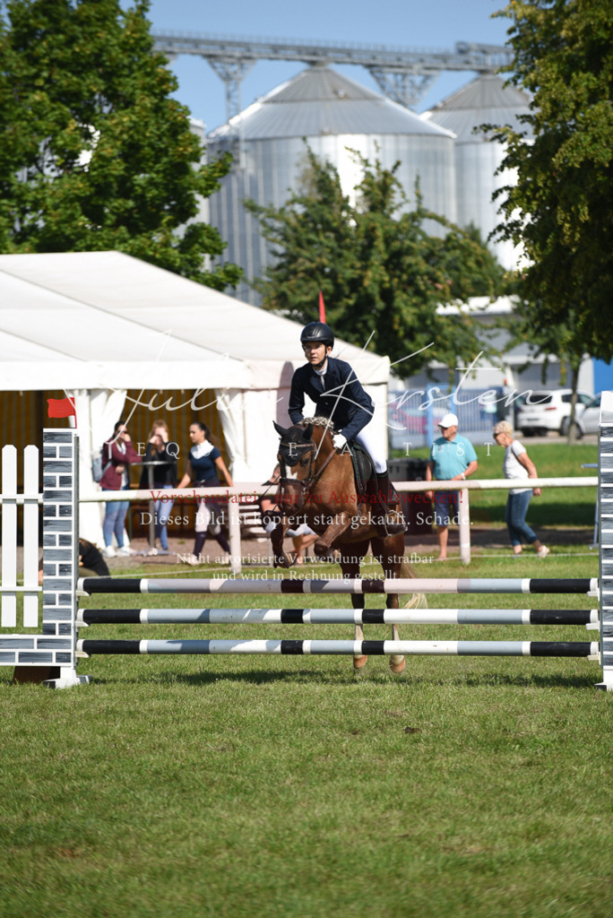 DSC_9064 | Pferde- und Turnierfotografie in Westsachsen. Pferdeportraits, Auftragszeichnungen und intuitive Kunst.