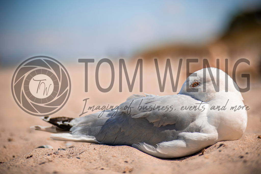 IMG_8621 | Fotos:
Tom Wenig
https://www.tomwenig.de - Realisiert mit Pictrs.com
