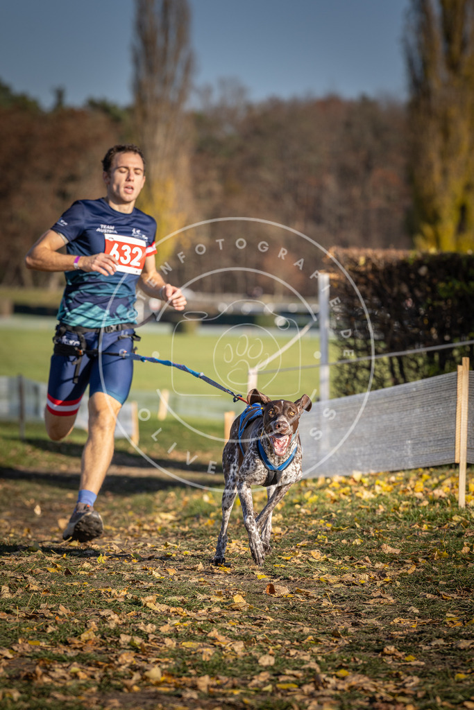 CaniXpix_DV3A0148 | Hundefotografie, Tierfotograf, Pfotenfotografie, Fotoshooting Hund, Hunde Portrait, Hundesport, Hundeportraits, Heideshooting, Hunde, Sportfotograf, Hundefotograf, Turnierhundsport, THS,  - Realisiert mit Pictrs.com