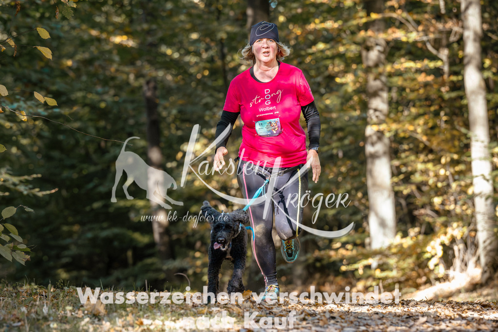 1206_ZZ94280 | kk-dogfotos