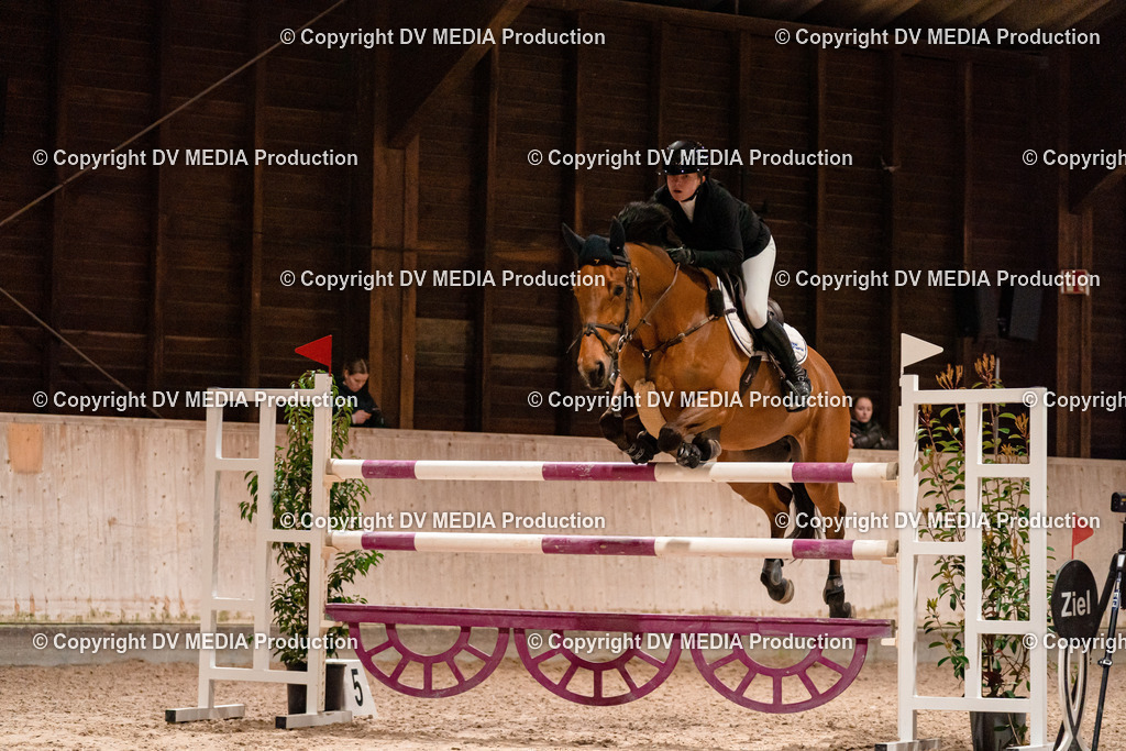 Springen Tag 2-902 | dv-media-shop - Realisiert mit Pictrs.com