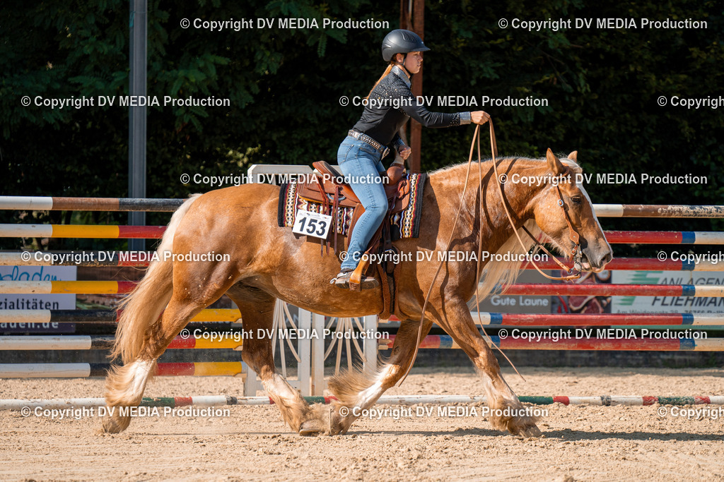 ZH100744 | dv-media-shop - Realisiert mit Pictrs.com