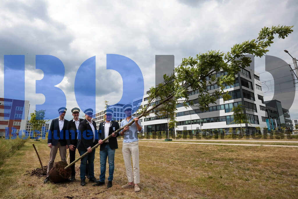 Eicheingrabung | Eicheingrabung - Realisiert mit Pictrs.com