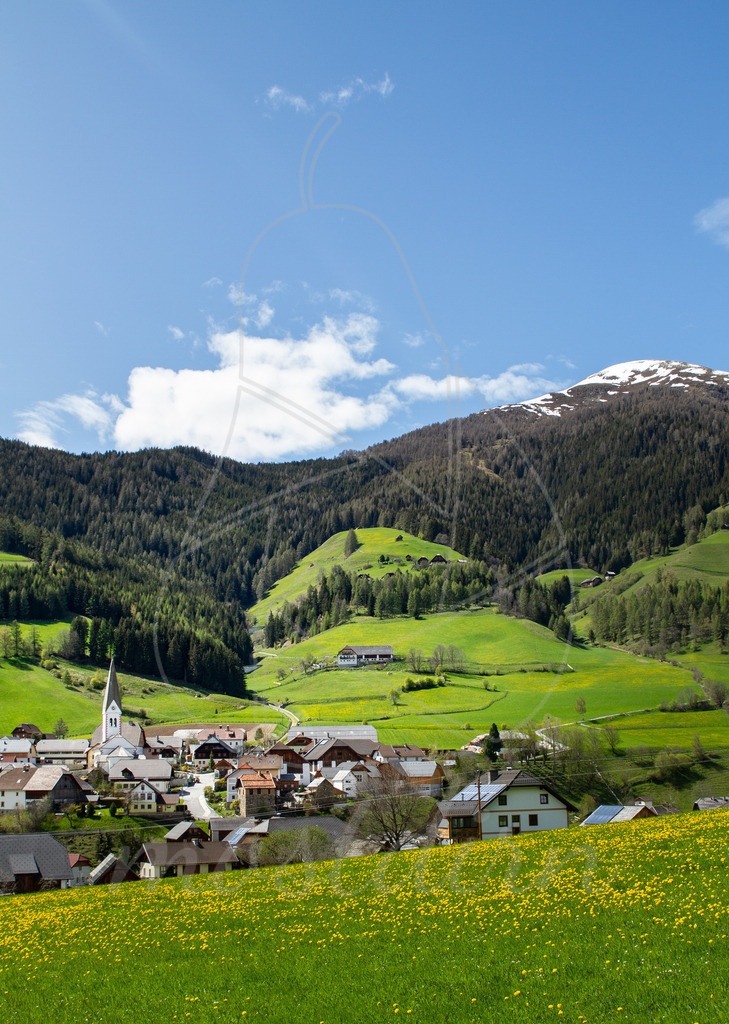 Frühling in Lessach | Bei Veröffentlichung des Bildes ist eine Namensnennung wie folgt erforderlich: 
Foto: Mostdirn Irmgard Wieser - Realisiert mit Pictrs.com