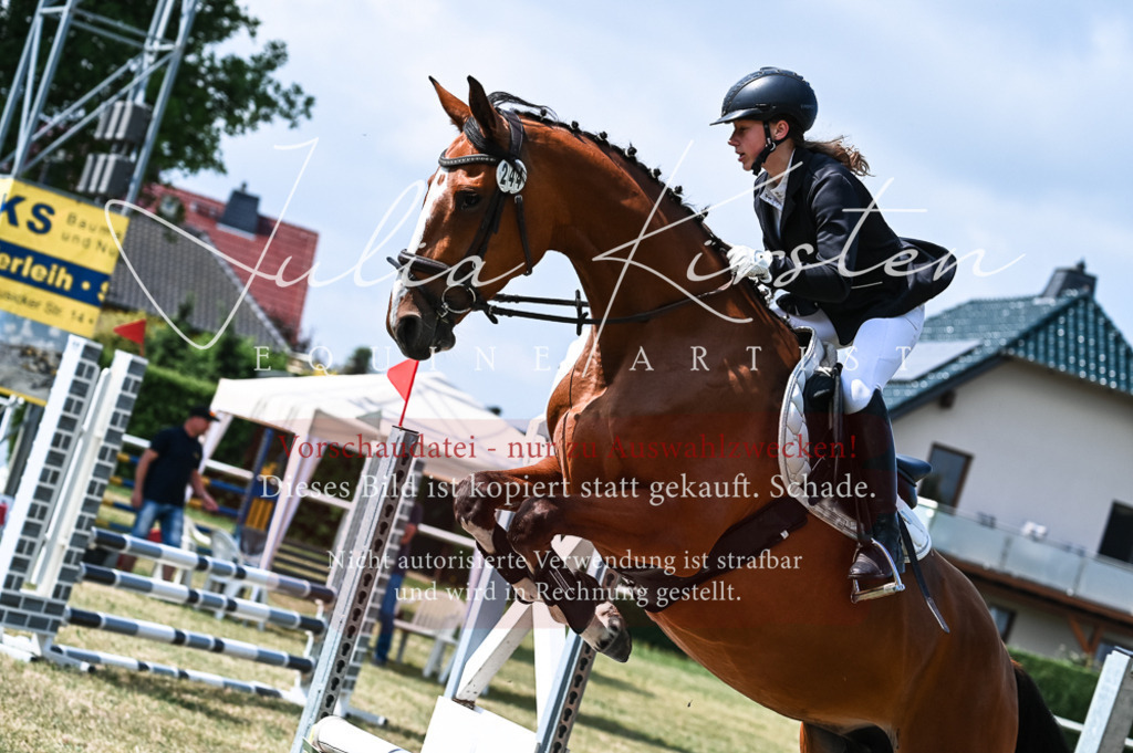 DSC_8682 | Pferde- und Turnierfotografie in Westsachsen. Pferdeportraits, Auftragszeichnungen und intuitive Kunst.