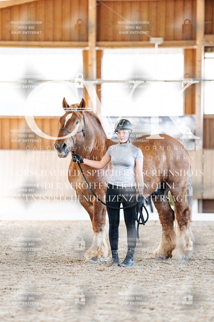CK906438 | Turnierfotografie Pferdefotografie Trier Rheinland-Pfalz Pferdesport Reitsport Tierfotografie Sportfotografie Pferdevideo Pferdevideografie Equestrianvideography equestrianphotography  - Realisiert mit Pictrs.com